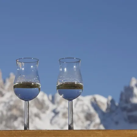 بيت خشبي Rifugio Alpino Pralongia *